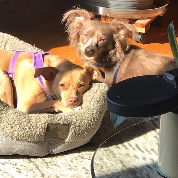 our home owners - Picture 3 of 7